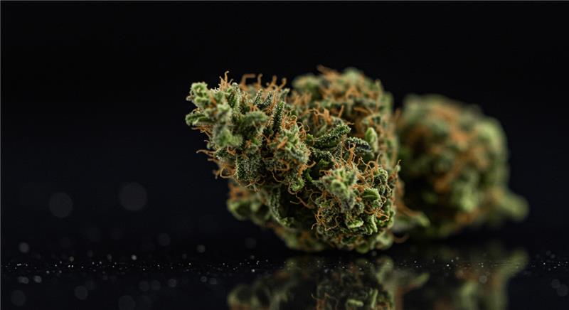 Título otimizado para SEO